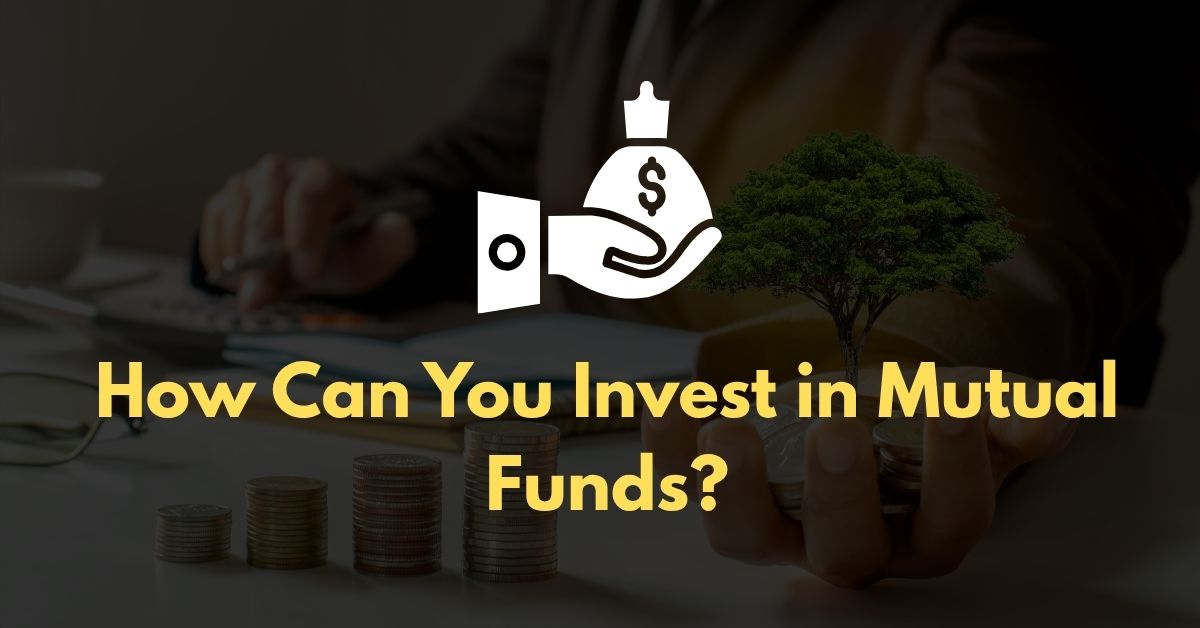 How Can You Invest in Mutual Funds